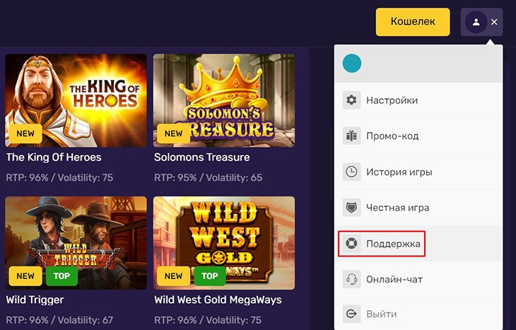 Написать в поддержку